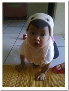alanna style: jilbab burung Photo0119
