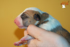 Boy 3 - day 1