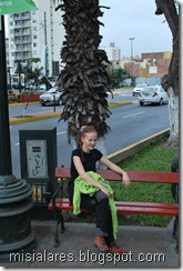 DSC_0104 DSC_0104
