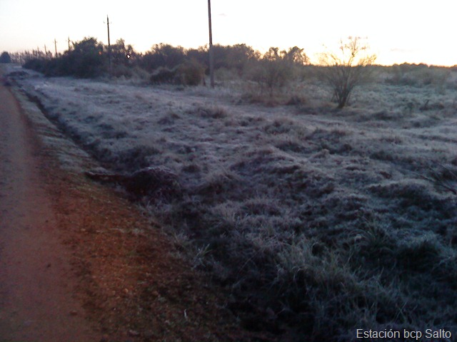 [DSC00930%255B5%255D.jpg]