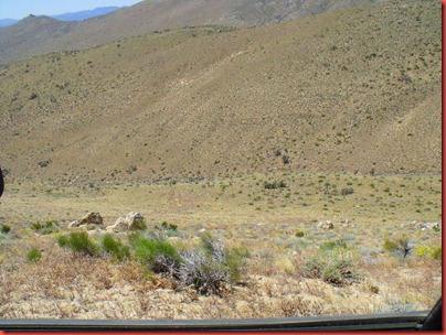pics 013