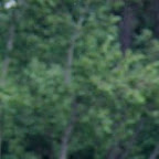 20110618_00074.jpg