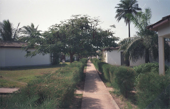 Pathway in residential area