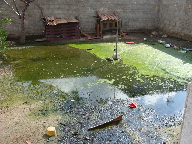 [DSC013173.jpg]