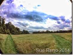 Distant View of Susquehanna River from Native Lands Park