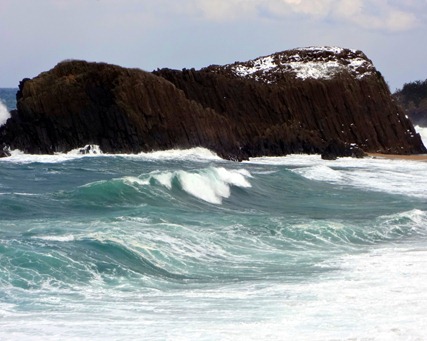 DSC04786 DSC04786