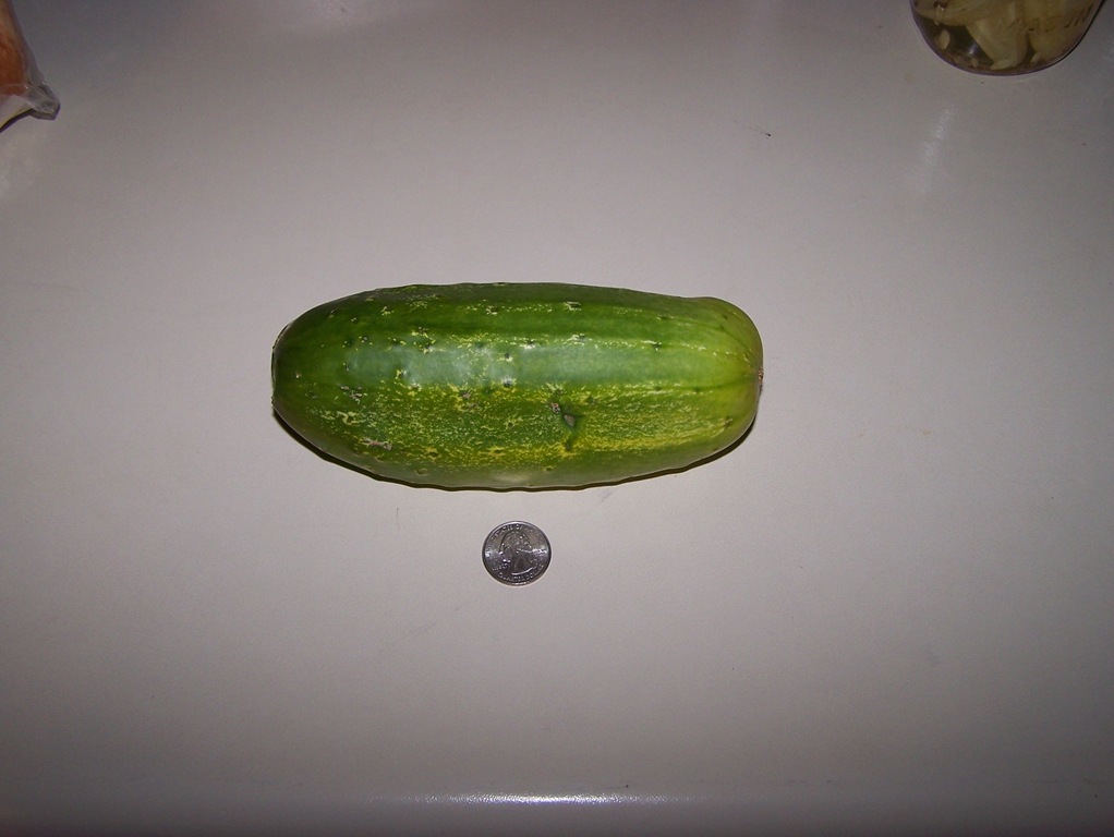 [100_9744%255B3%255D.jpg]