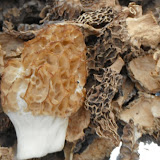 DSCF6324.JPG