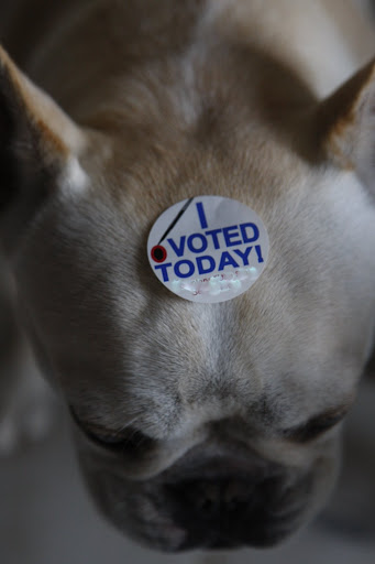 I feel so proud to have voted today.  May the best animal win!