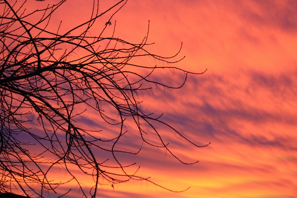 [sunrise%255B5%255D.jpg]