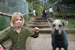 Another Peruvian hairless dog at the zoo. Porcon, Peru.