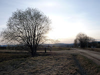 P1040130.JPG