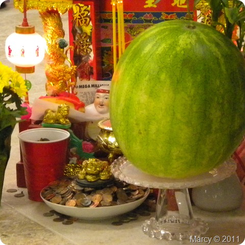 DSCN5752