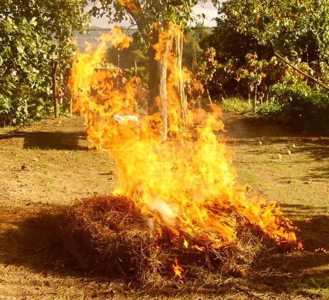 [HPIM1467_Magusto%255B5%255D.jpg]