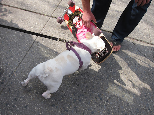 I'm wiped out because I've been trying to ride this skateboard.  Have you ever tried it?  It's fun but exhausting!