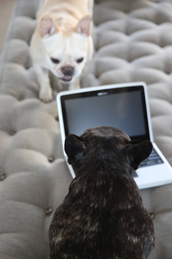Francesca, you can't call it yours!  After all, I do much more blogging than you do!  Hand it over!