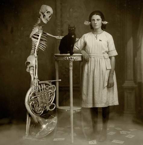 [strange-cats-expain-that-5%255B2%255D.jpg]