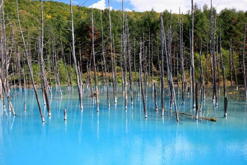 blue-pond1 blue-pond1