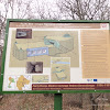 dsc05103.jpg
