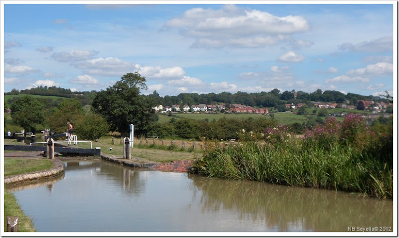 SAM_2185 Napton