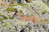 DSC_0321.JPG