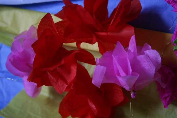 [IMG_7570%255B4%255D.jpg]