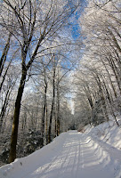 IMG_7422.jpg Photo