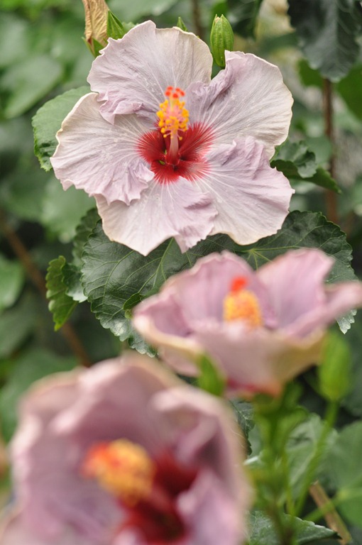 [DSC_2652%255B4%255D.jpg]