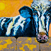 Vaca holandesa