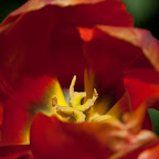 DSC_0742.jpg
