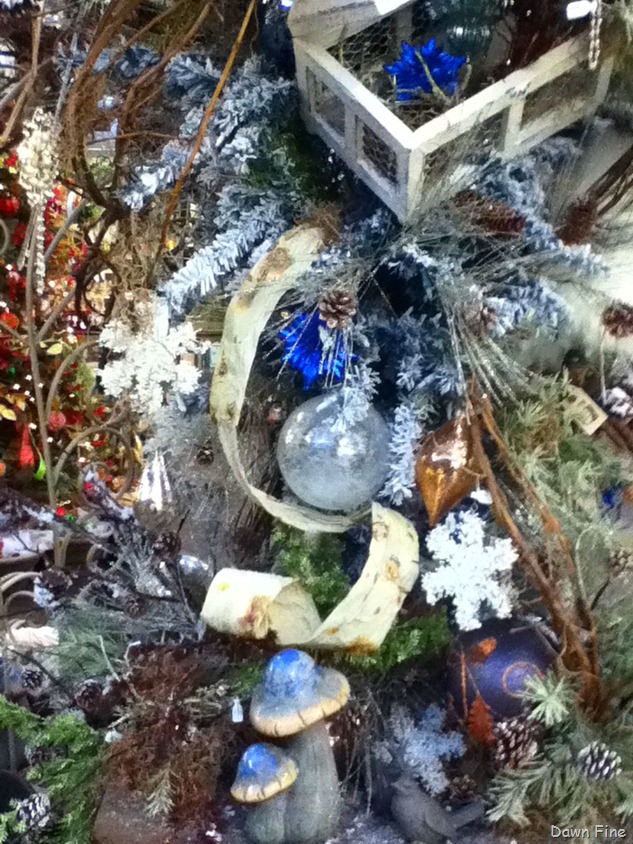 [IMG_3539%255B5%255D.jpg]
