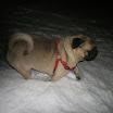 Spacer 13.01.2012