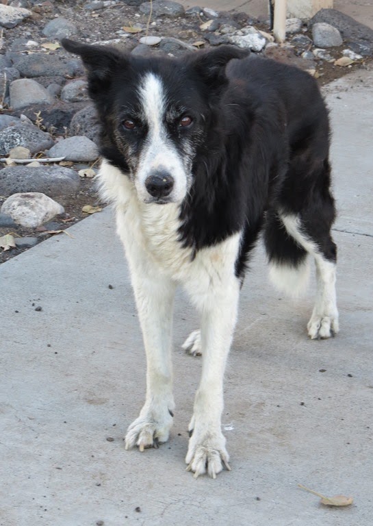 [Surprise-Valley-Utah-CrystalHarling5.jpg]