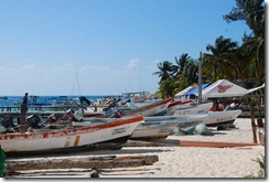 DSC_0579 DSC_0579