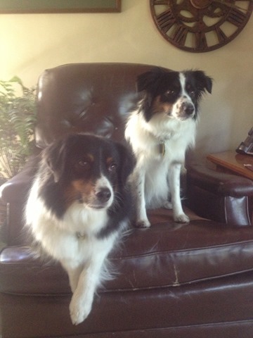 [018%255B3%255D.jpg]