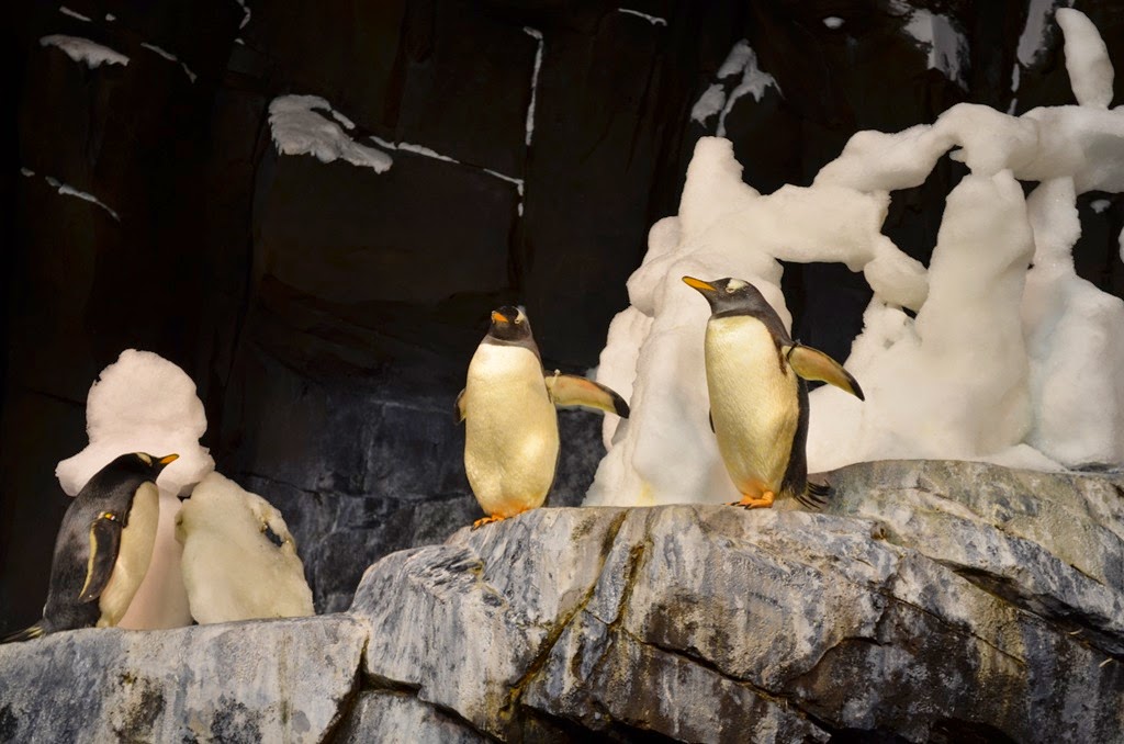 [DSC_8384%255B3%255D.jpg]