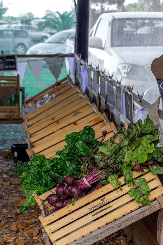 Wishful Thinking Wishful Thinking