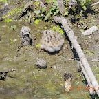 DSCN9494.JPG