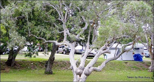 Bell Park Caravan Park @ Emu Park each east of Rockhampton, QLD