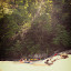 DSCN6038.JPG