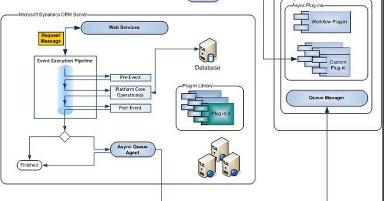 Custom essay .net