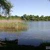 dsc02968.jpg
