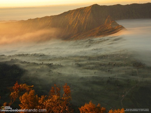 wallpapers national geographic desbaratinando  (5)