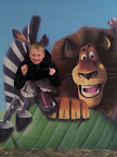 wpid-20120210_204409.jpg