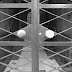 R0028205.JPG