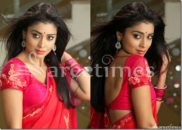 Shriya_Pink_Embroidered_Short_Sleeves_Saree_Blouse Shriya_Pink_Embroidered_Short_Sleeves_Saree_Blouse