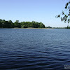 dsc02912.jpg