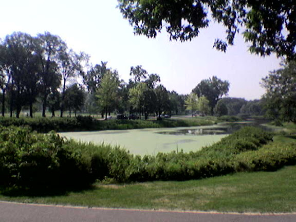 Little lake in Minneapolis