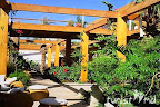 Фото 9 Iberotel Lido Sharm