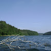 dsc03244.jpg